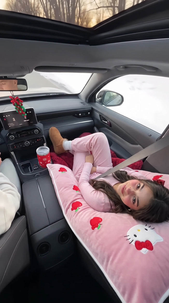 recline | Seat reclined, pillow wrapped head to toe