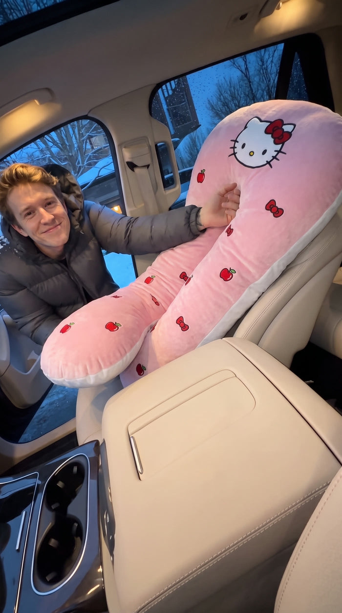 setup | Placing the pillow over the passenger seat